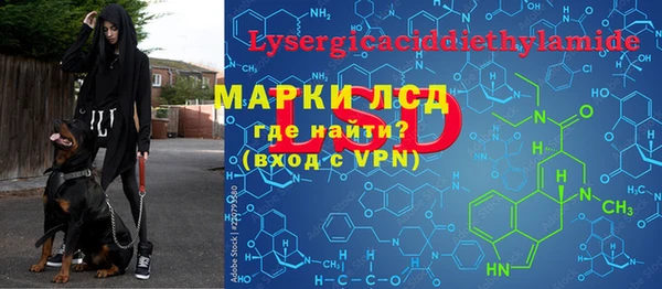 прущие грибы Абдулино