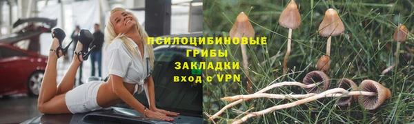 сатива Алексеевка