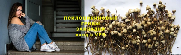 амф Алексин